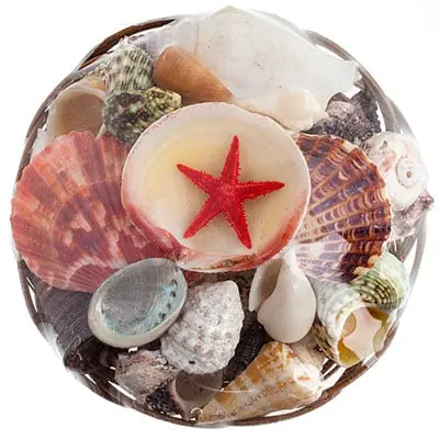 Assorted Seashells In Woven Basket Display 1