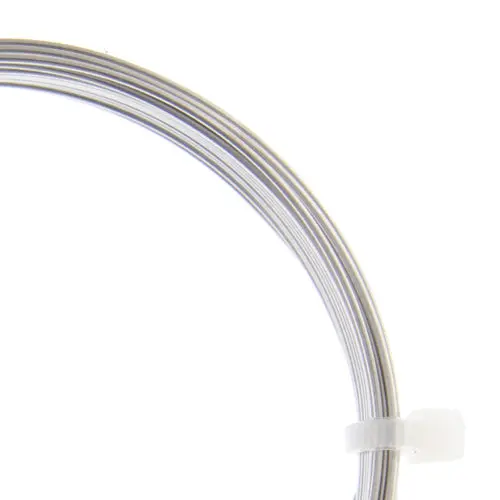 Beadalon 316L Stainless Steel Round Wire, 20 Gauge, 6 Meters (19.7 Feet) 1