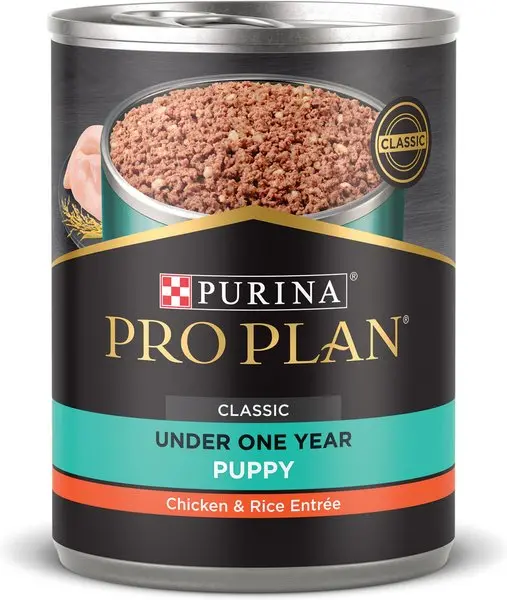 Purina Pro Plan Classic Puppy Wet Food – Chicken & Rice Entrée (13 Oz) For Growth Support 1
