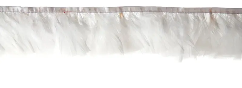 Turkey Feather Trim – 3–4 Inch Quills, 1 Yard, ~13G Bundle 1